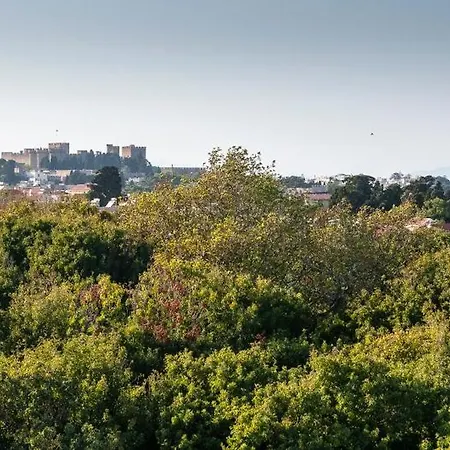 Athineon شقة فندقية